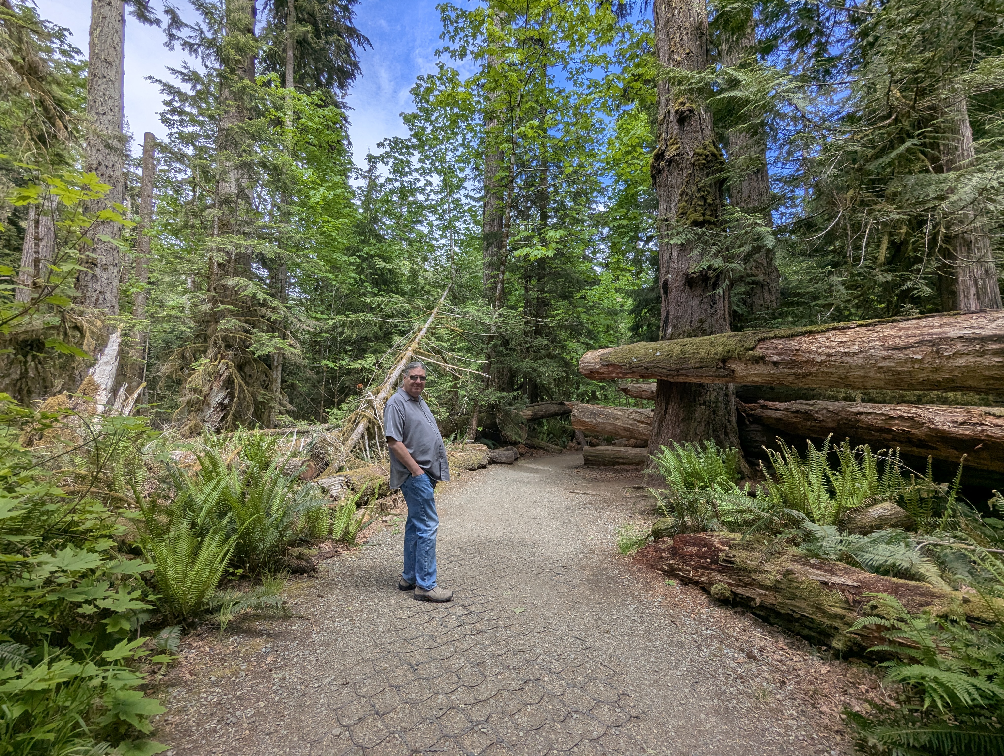 Birthday Trip to Canada, Cathedral Grove, Vancouver Island